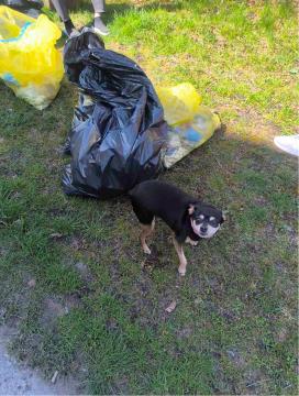 čistilna akcija 2025_4